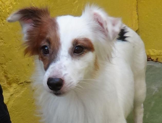 multimedia-foto39002-394-3