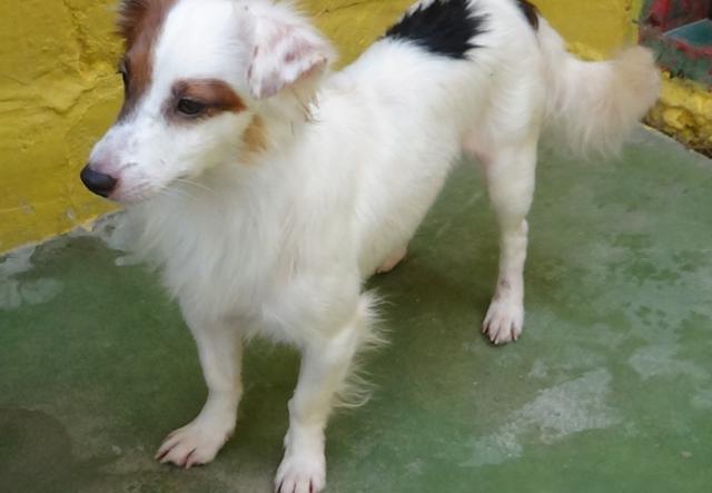 multimedia-foto39003-619-3