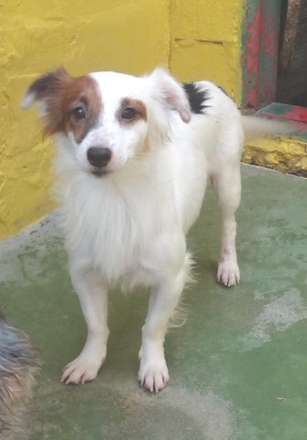 multimedia-foto39004-836-3