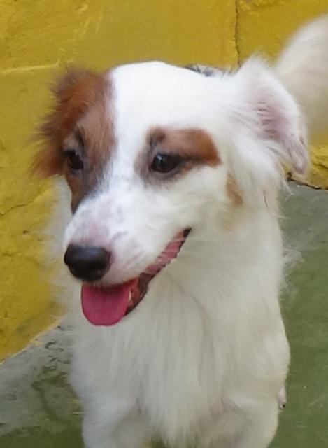 multimedia-foto39005-41-3