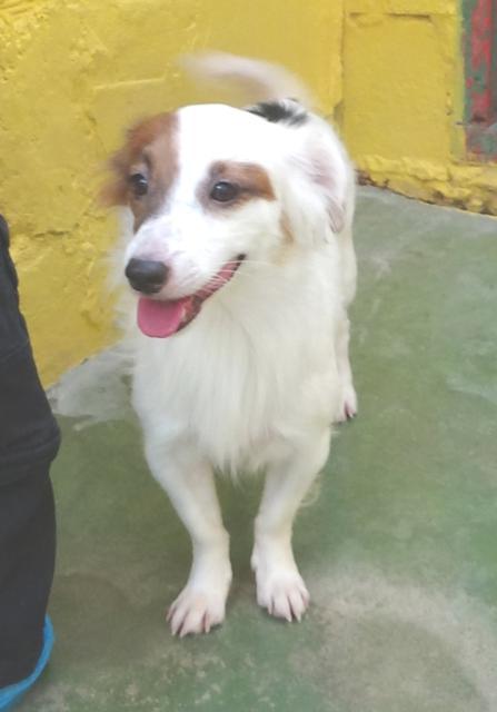 multimedia-foto39006-237-3