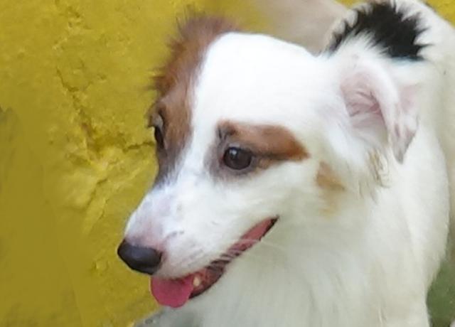 multimedia-foto39007-409-3