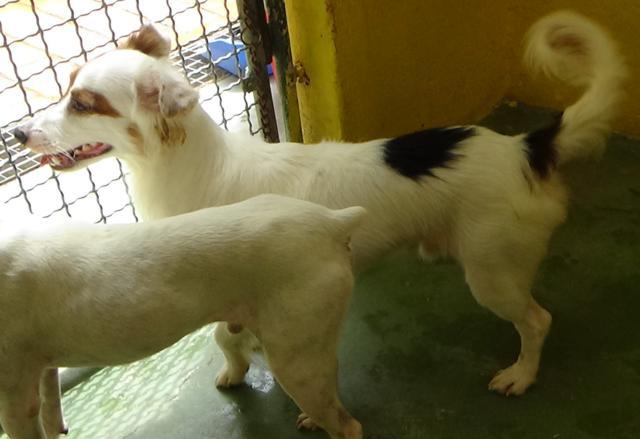 multimedia-foto39008-564-3