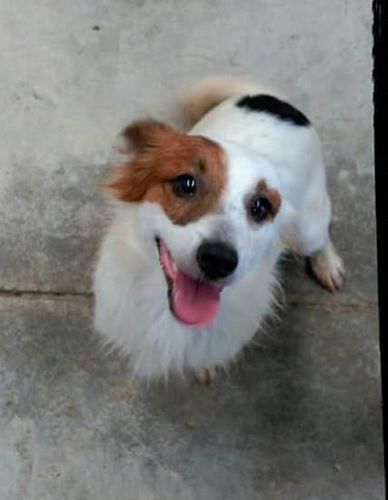 multimedia-foto39009-697-3