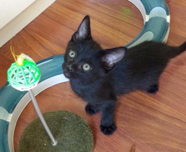 multimedia-foto39064-444-3