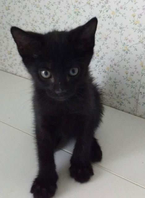 multimedia-foto39065-669-3