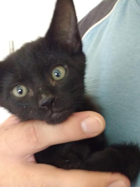 multimedia-foto39066-883-3