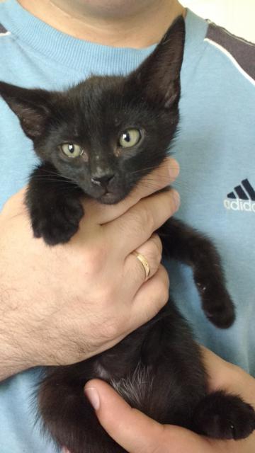 multimedia-foto39069-447-3