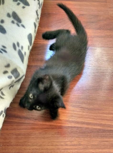 multimedia-foto39071-725-3