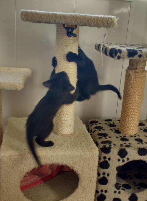 multimedia-foto39072-834-3