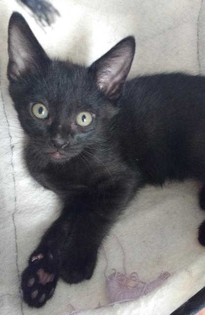 multimedia-foto39073-902-3