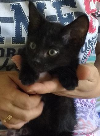 multimedia-foto39074-948-3