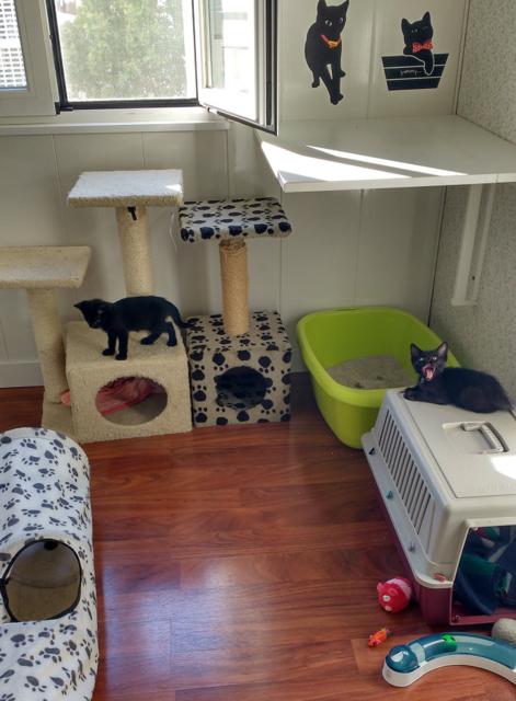 multimedia-foto39076-25-3