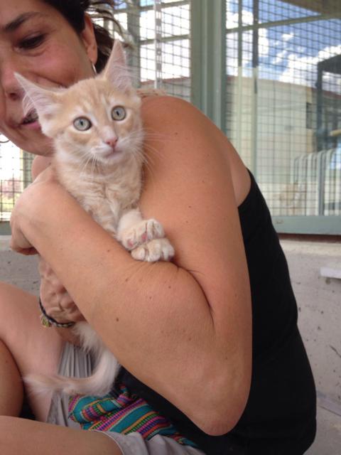 multimedia-foto39081-681-3