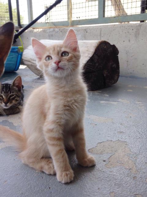 multimedia-foto39082-896-3