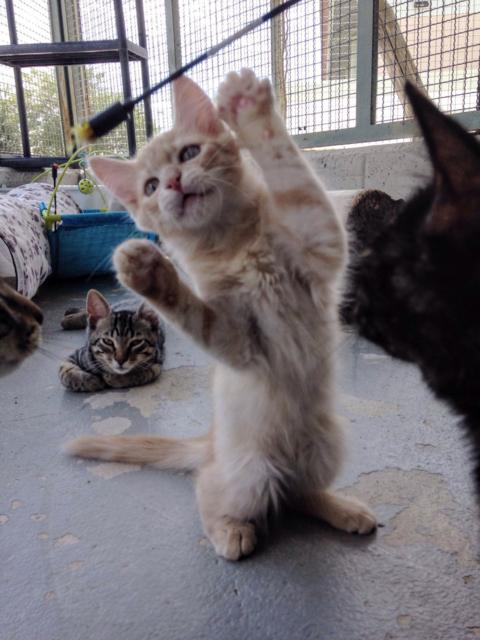 multimedia-foto39084-286-3