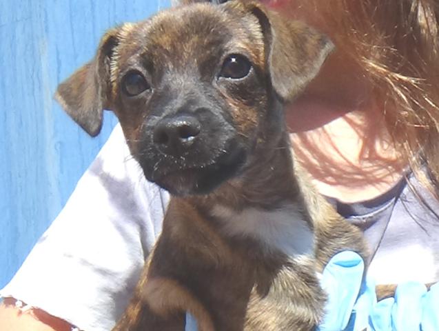 multimedia-foto39086-462-3