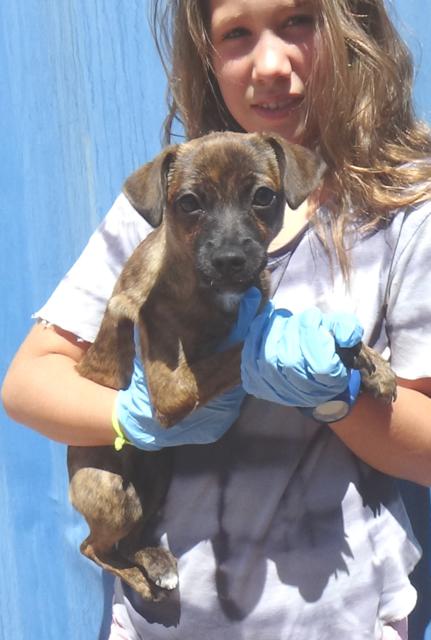 multimedia-foto39087-686-3