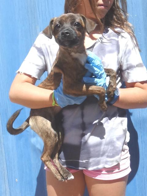 multimedia-foto39088-901-3