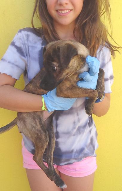 multimedia-foto39089-100-3