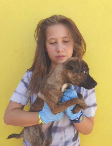 multimedia-foto39091-458-3