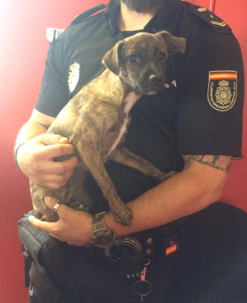 multimedia-foto39092-608-3