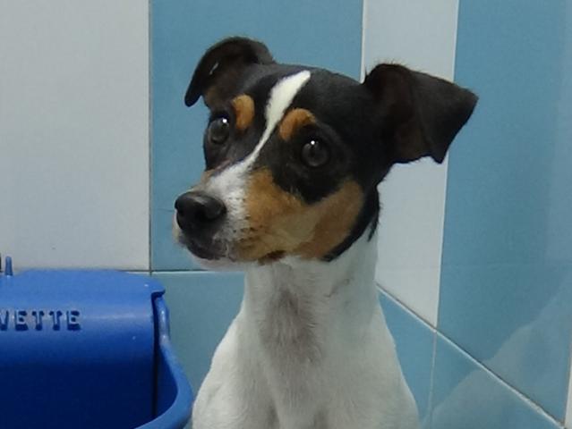 multimedia-foto39213-351-3