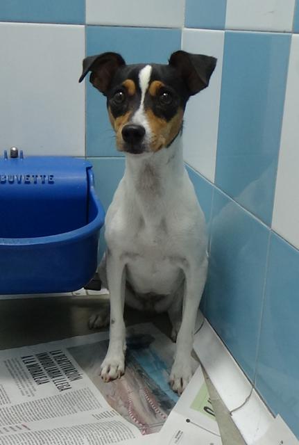 multimedia-foto39214-577-3