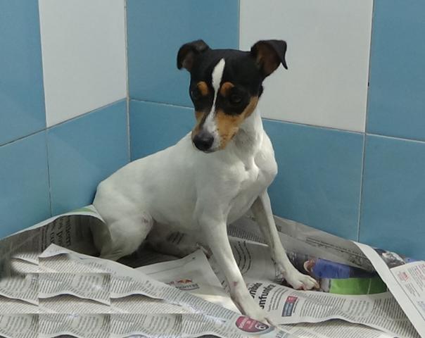 multimedia-foto39215-800-3