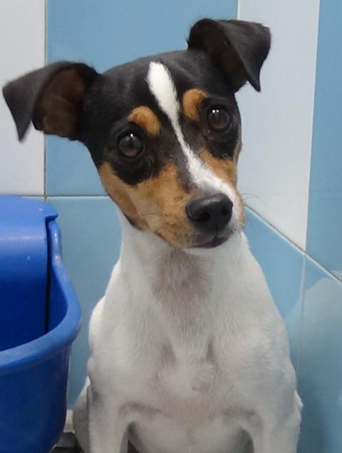 multimedia-foto39217-204-3