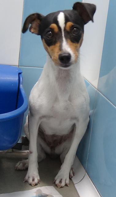 multimedia-foto39218-381-3