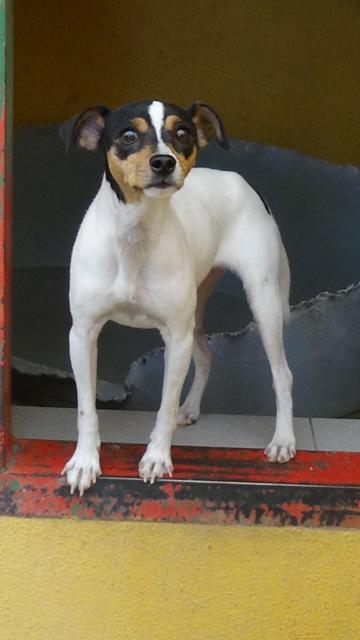 multimedia-foto39219-540-3