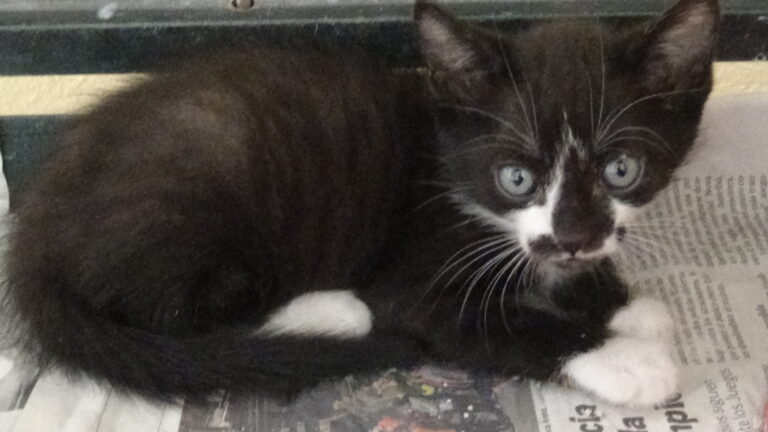 multimedia-foto39222-207-3