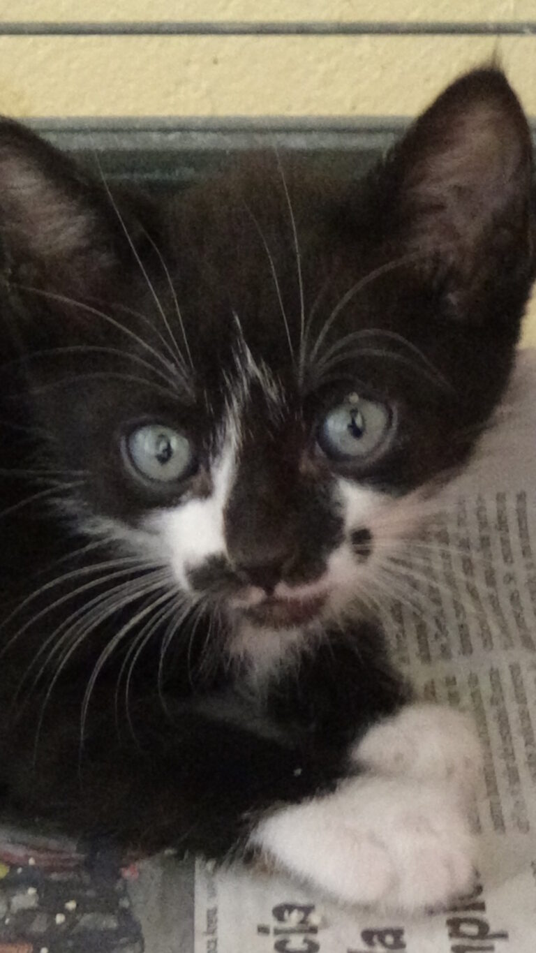 multimedia-foto39223-585-3