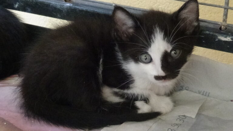 multimedia-foto39224-587-3