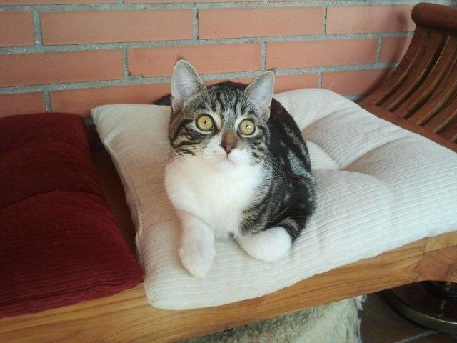 multimedia-foto39238-218-3