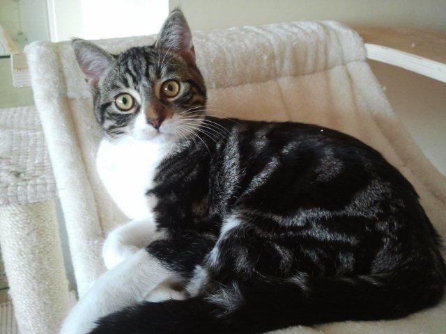 multimedia-foto39239-395-3