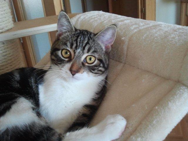 multimedia-foto39240-551-3