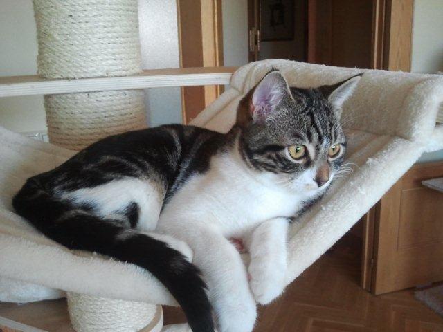 multimedia-foto39241-685-3