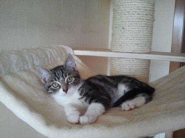 multimedia-foto39244-933-3