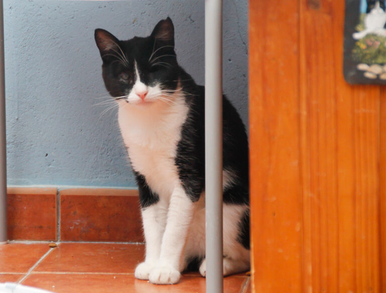 multimedia-foto39317-829-3