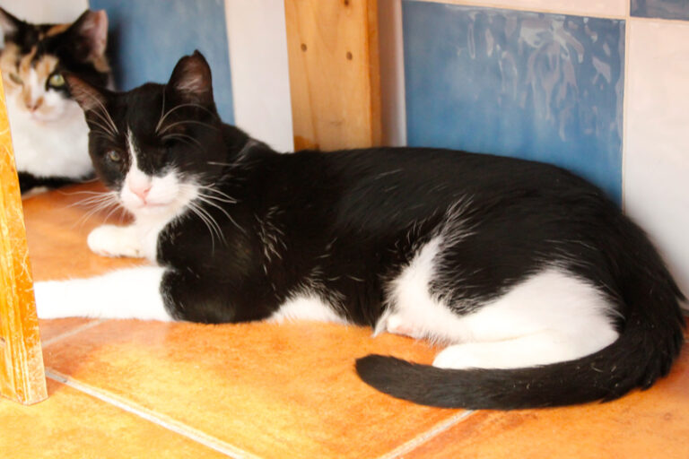 multimedia-foto39318-900-3