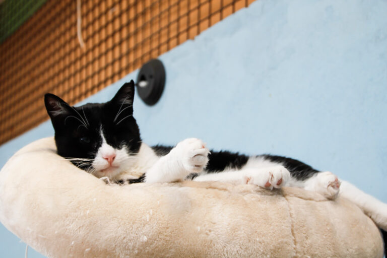 multimedia-foto39319-947-3