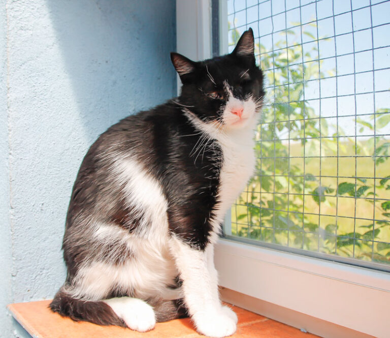 multimedia-foto39320-988-3