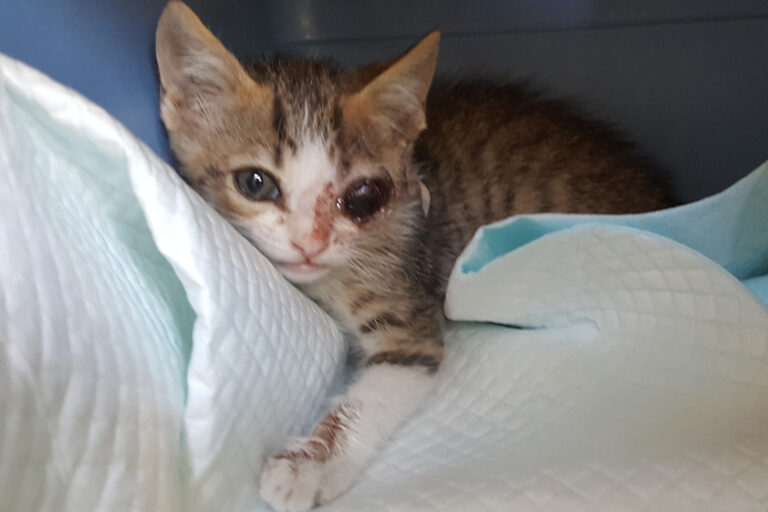 multimedia-foto39326-673-3