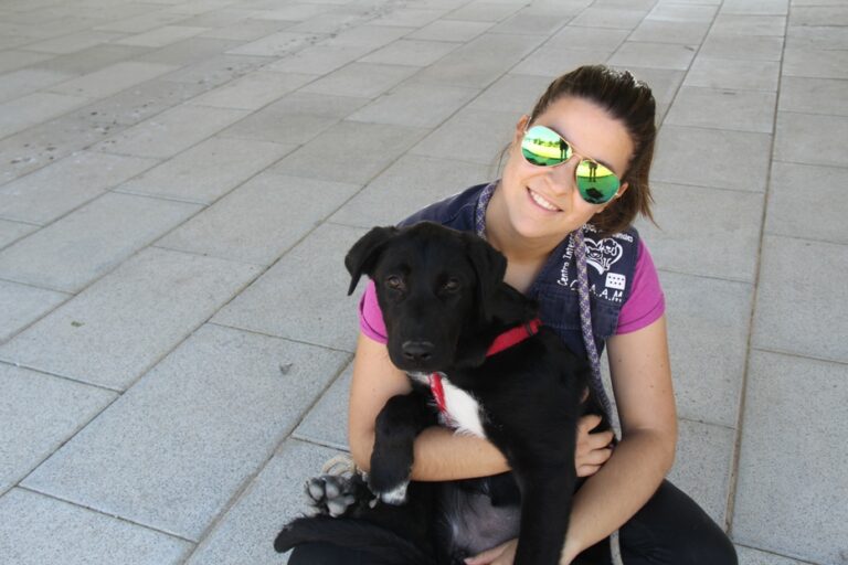 multimedia-foto39329-890-3