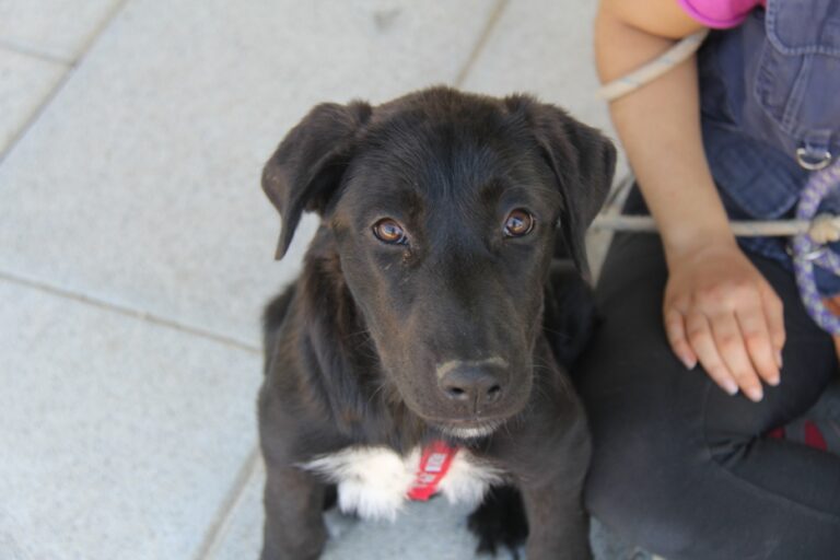 multimedia-foto39330-453-3