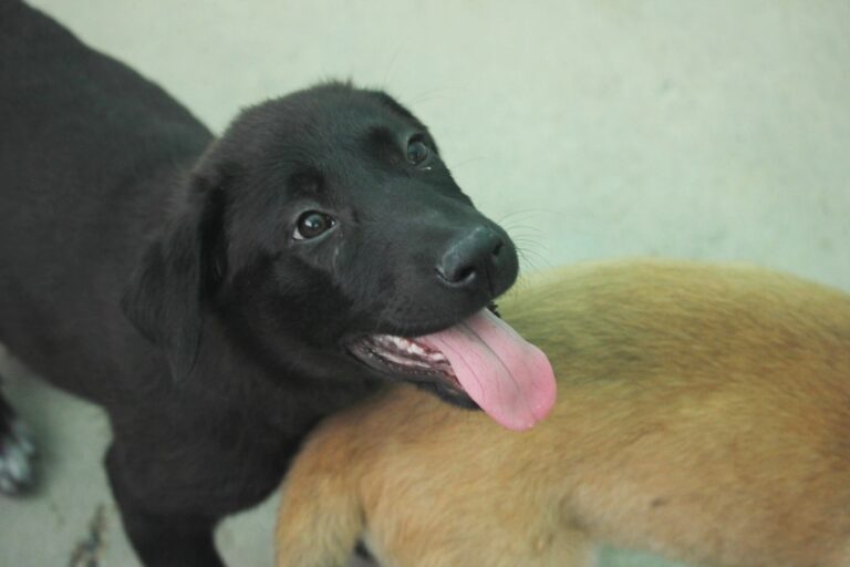 multimedia-foto39331-677-3