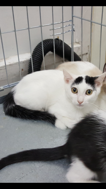 multimedia-foto39347-466-3