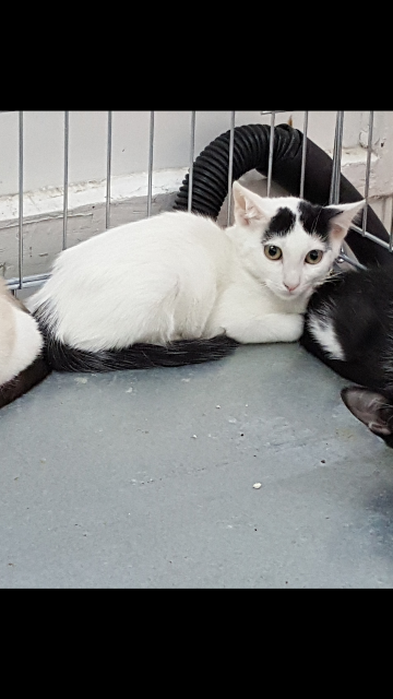 multimedia-foto39349-905-3